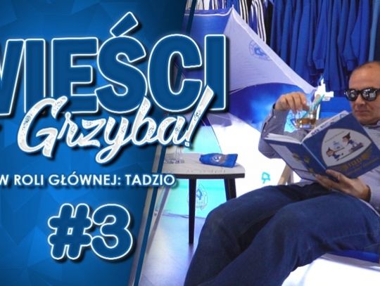 Wieści z Grzybka #3