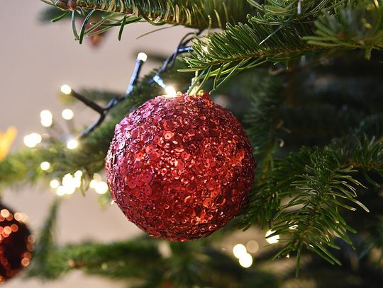 Wigilijne tradycje całej Polski! Jakie są różnice, a co łączy nas wszystkich?