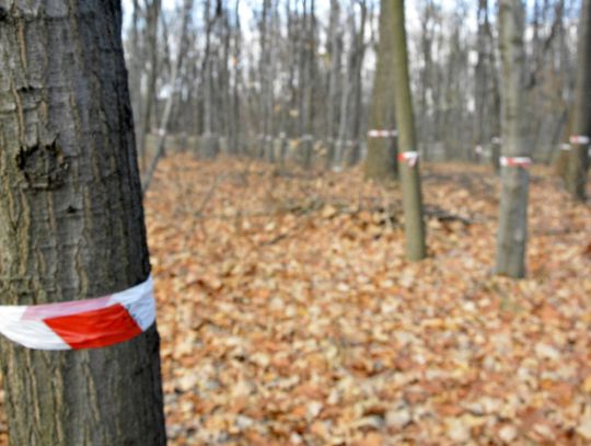 Właściciel działki przy MTK przygotowuje się do inwestycji