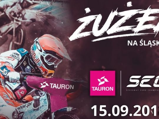 Woryna z „dziką kartą” w Chorzowie