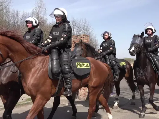 Wspólne ćwiczenia prewencji i policji konnej w Chorzowie