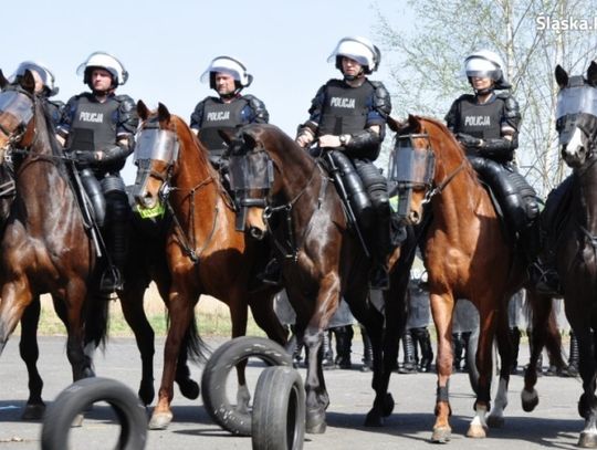 Wspólne ćwiczenia prewencji i policji konnej [WIDEO]