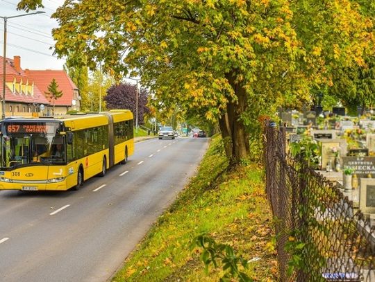 Wszystkich Świętych w Chorzowie. Zmiana organizacji ruchu i dodatkowe połączenia komunikacji miejskiej