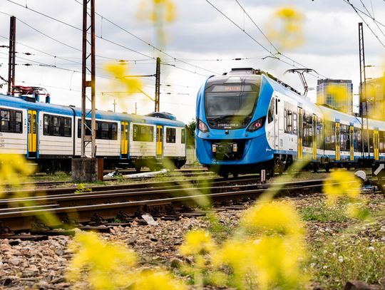 Wszystkie łapki na pokład! Coraz więcej pasażerów Kolei Śląskich podróżuje ze zwierzętami