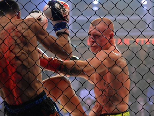 Wygrana Królika na DSF Kickboxing Challenge. Polska lepsza od Ukrainy!