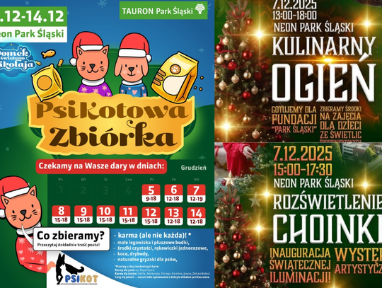 Wyjątkowa niedziela w Tauron Parku Śląskim. Będzie smacznie, charytatywnie i Mikołajkowo!