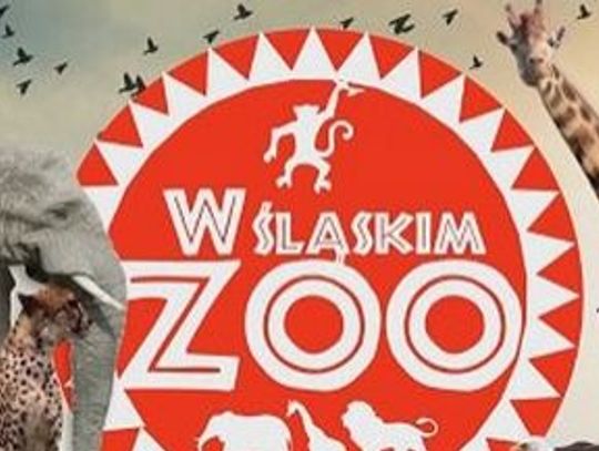 Wykop: Śląskie ZOO we własnym serialu telewizyjnym zdradza swoje tajemnice!