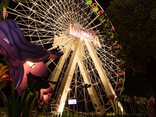 Wypadek w Legendii. Dwie osoby ranne