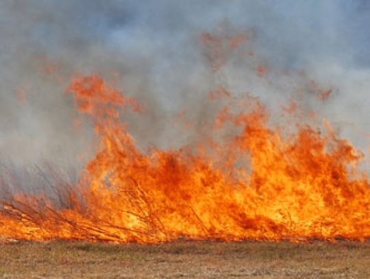 Wypalanie traw jest niedozwolone