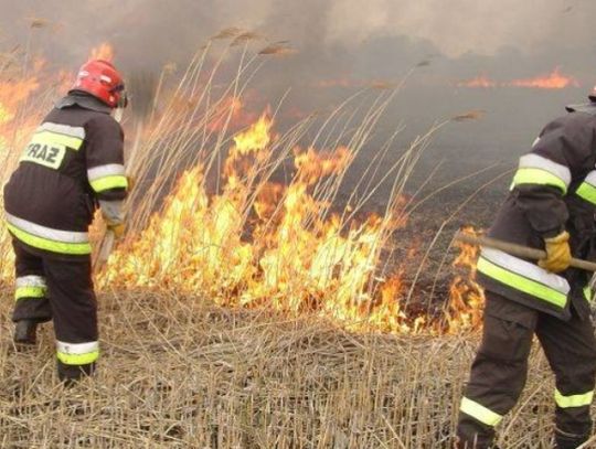 Wypalanie trwa jest niedozwolone!