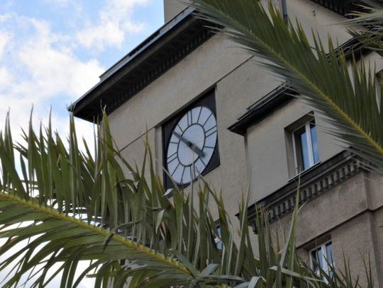 Występy, pokazy i food trucki... to czeka nas w ten weekend!