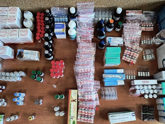 Z Ukrainy do polskich lecznic weterynaryjnych. Chorzowianin odpowie za nielegalny obrót lekami Z Ukrainy do polskich lecznic weterynaryjnych. Chorzowianin odpowie za nielegalny obrót lekami