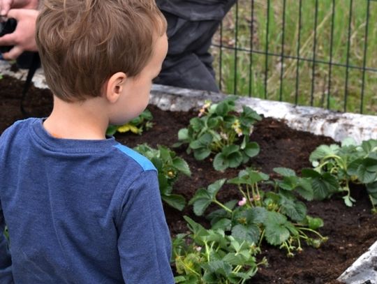 Za nami inauguracja "Radośnika". W Chorzowie powstał ogród hutniczy
