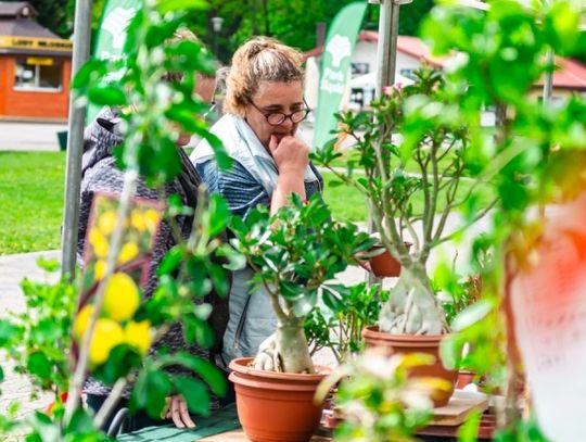 Za nami Parkowy Kiermasz Kwiatowy 2021