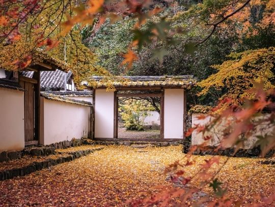 Zadbaj o bezpieczeństwo na swojej działce