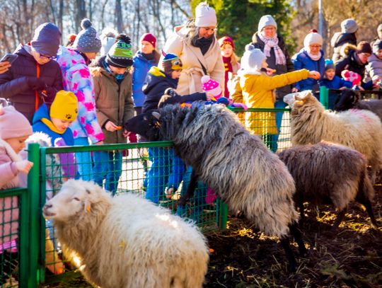 "Zagroda pełna zwierząt" tematem kolejnego spaceru w Skansenie