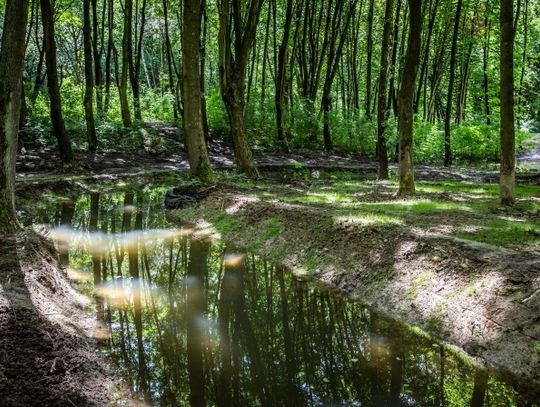 Zakończono budowę polderu przeciwpowodziowego w Parku Śląskim
