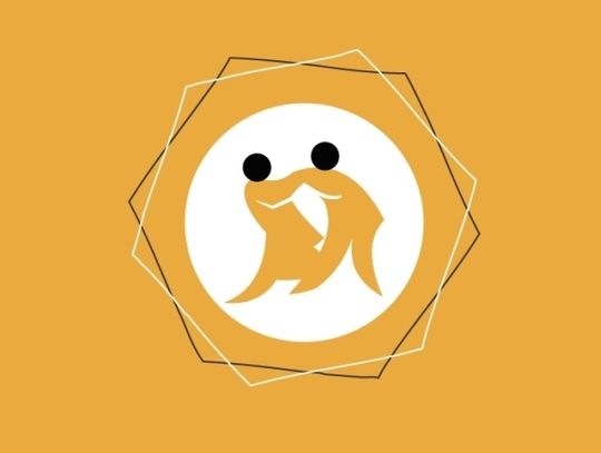 Zapisz się na bezpłatne zajęcia Jiu-Jitsu!