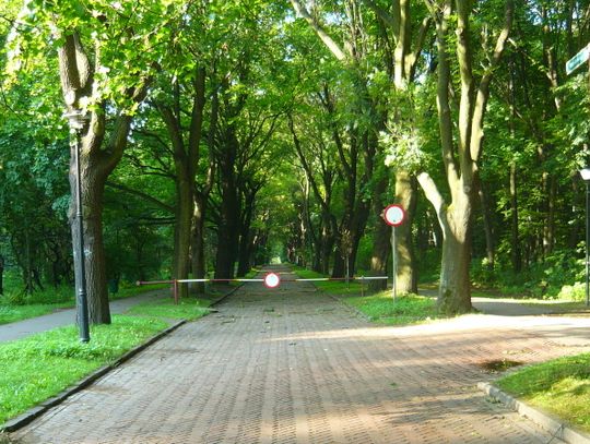 Zarząd Parku Śląskiego komentuje medialne doniesienia