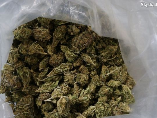 Zatrzymany z narkotykami