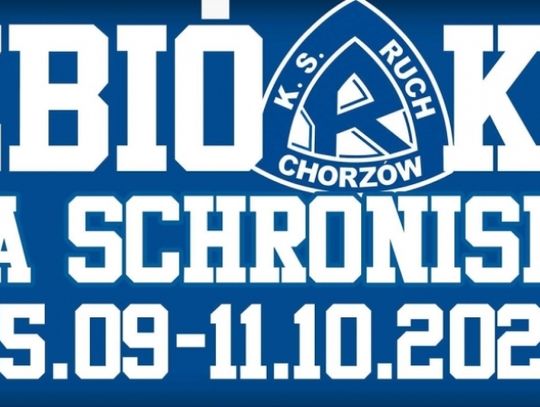 Zbiórka na schronisko