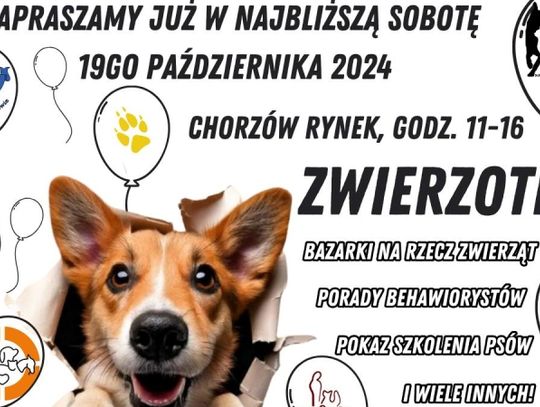 Zbliża się pierwsza Zwierzoteka w Chorzowie. Sprawdź, co przygotowali organizatorzy!