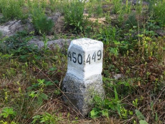 Zgubiłeś się w lesie? Nie panikuj!