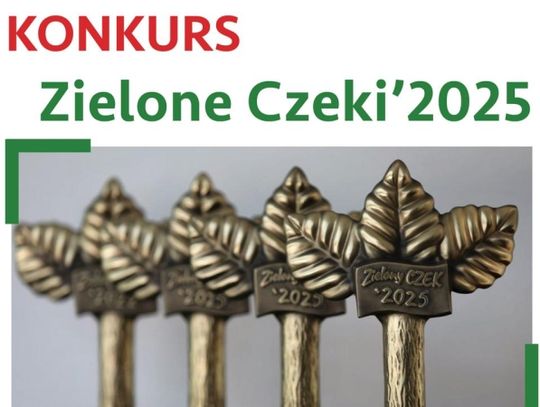 Zielone Czeki 2025 wystartowały! Trwa nabór wniosków