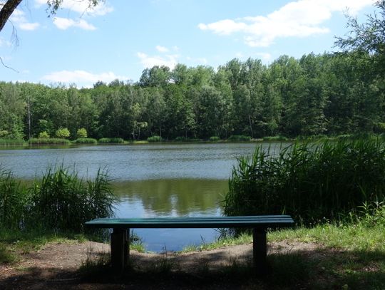 Zielone plany trzech miast