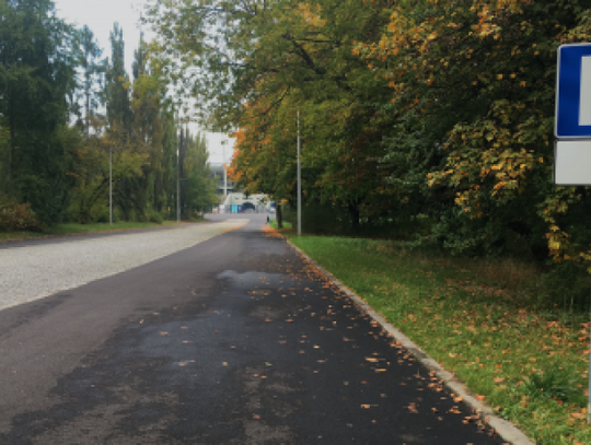 Zielone światło dla gości Parku Śląskiego 