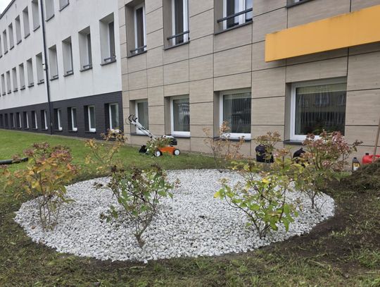 Zielono i pięknie w Powiatowym Urzędzie Pracy w Świętochłowicach. Tą pracę wykonali uczestnicy warsztatów w CIS Zielono i pięknie w Powiatowym Urzędzie Pracy w Świętochłowicach. Tą pracę wykonali uczestnicy warsztatów w CIS