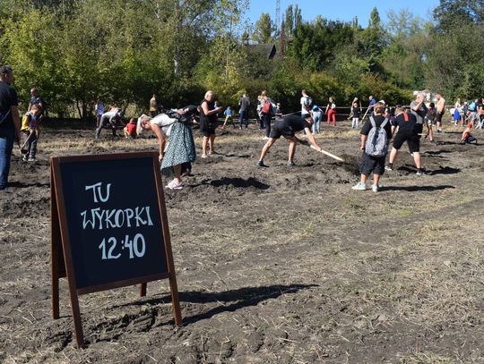 Ziemniak znów wystąpi w roli głównej. Przed nami tradycyjne wykopki w Skansenie!