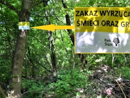Zlikwidowano kolejne dzikie wysypisko w Parku Śląskim