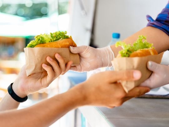 Zlot food trucków na Śląskim
