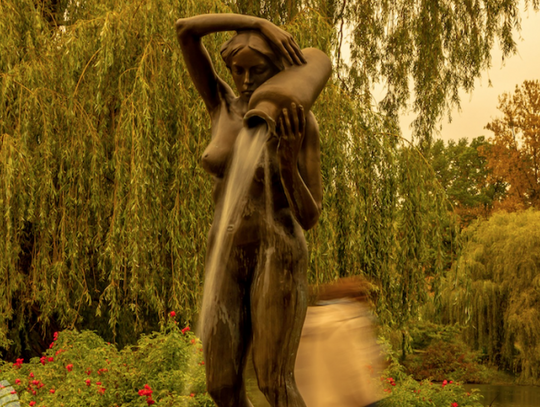 Zobacz piękno fontann w Parku Śląskim 