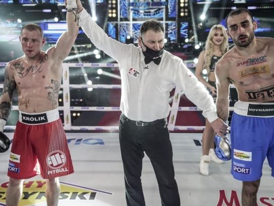 Zwycięstwo Królika podczas Babilon Boxing Show