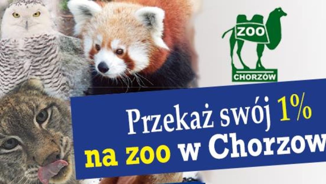 1% podatku na Śląski Ogród Zoologiczny
