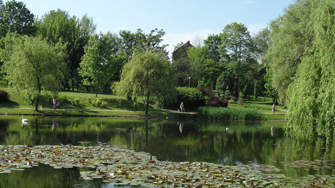 2,5 mln złotych na chorzowskie stawy