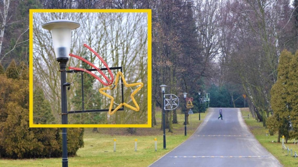 200 nowych latarni LED oświetli dodatkowe miejsca w Parku Śląskim