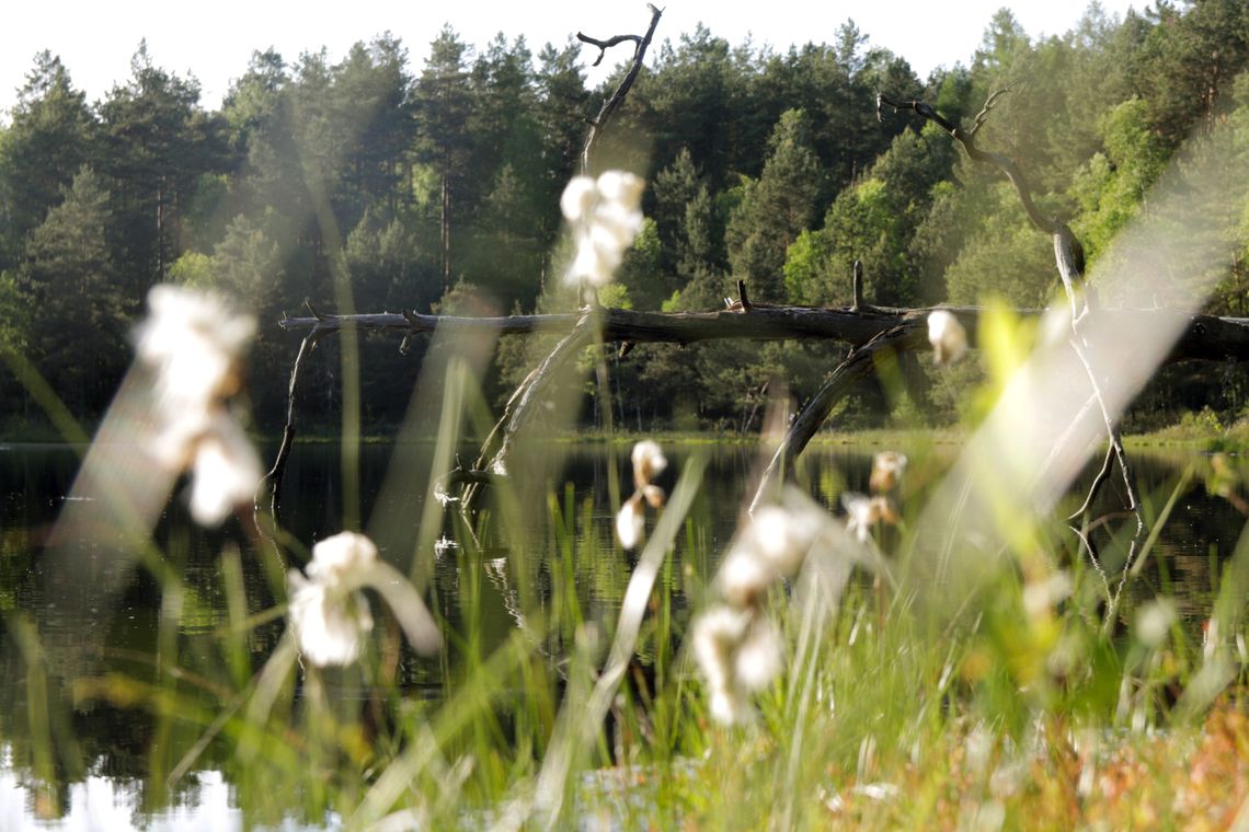 5 powodów, dla których warto odwiedzić Mazury Zachodnie w 2024 roku