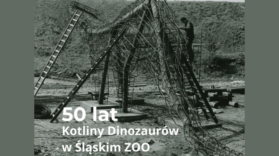 50 lat Kotliny Dinozaurów w Śląskim ZOO – prehistoria w nowoczesnej odsłonie 50 lat Kotliny Dinozaurów w Śląskim ZOO – prehistoria w nowoczesnej odsłonie