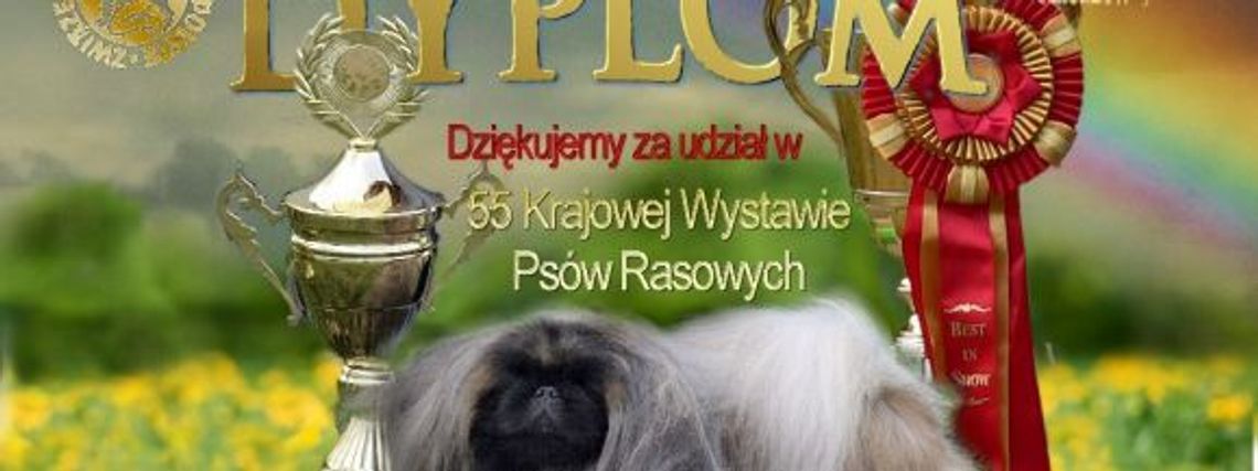 56. Krajowa Wystawa Psów Rasowych