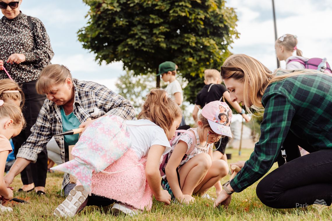 6000 narcyzów zakwitnie w TAURON Parku Śląskim [ZMIANA TERMINU]