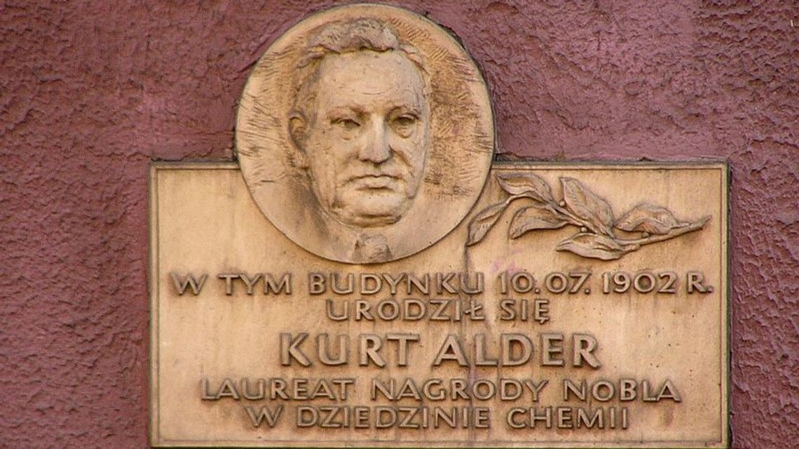 Alder zastąpi Maronia Alder zastąpi Maronia