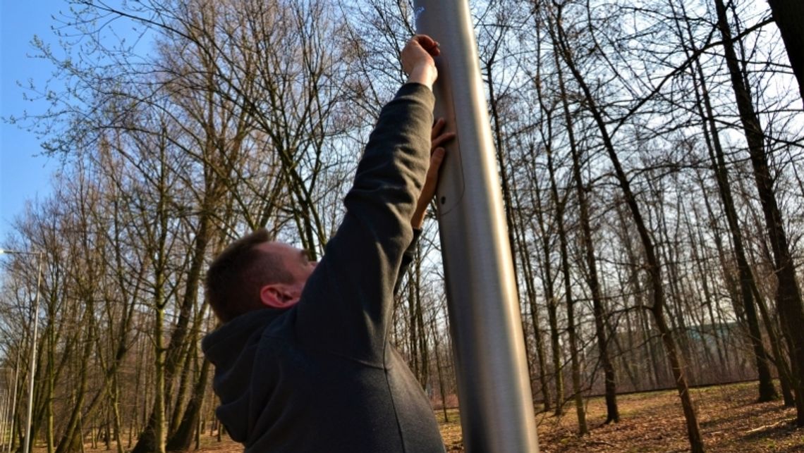 Aleja Leśna w pełni oświetlona