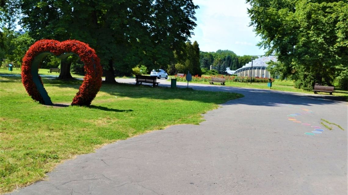 Aleje w Parku Śląskim zyskują nowoczesną nawierzchnię Aleje w Parku Śląskim zyskują nowoczesną nawierzchnię