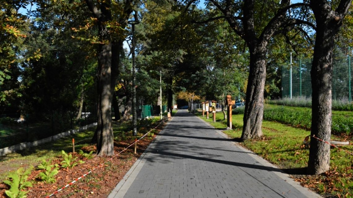 Alejka Obserwatorów Przyrody już gotowa! [ZDJĘCIA]