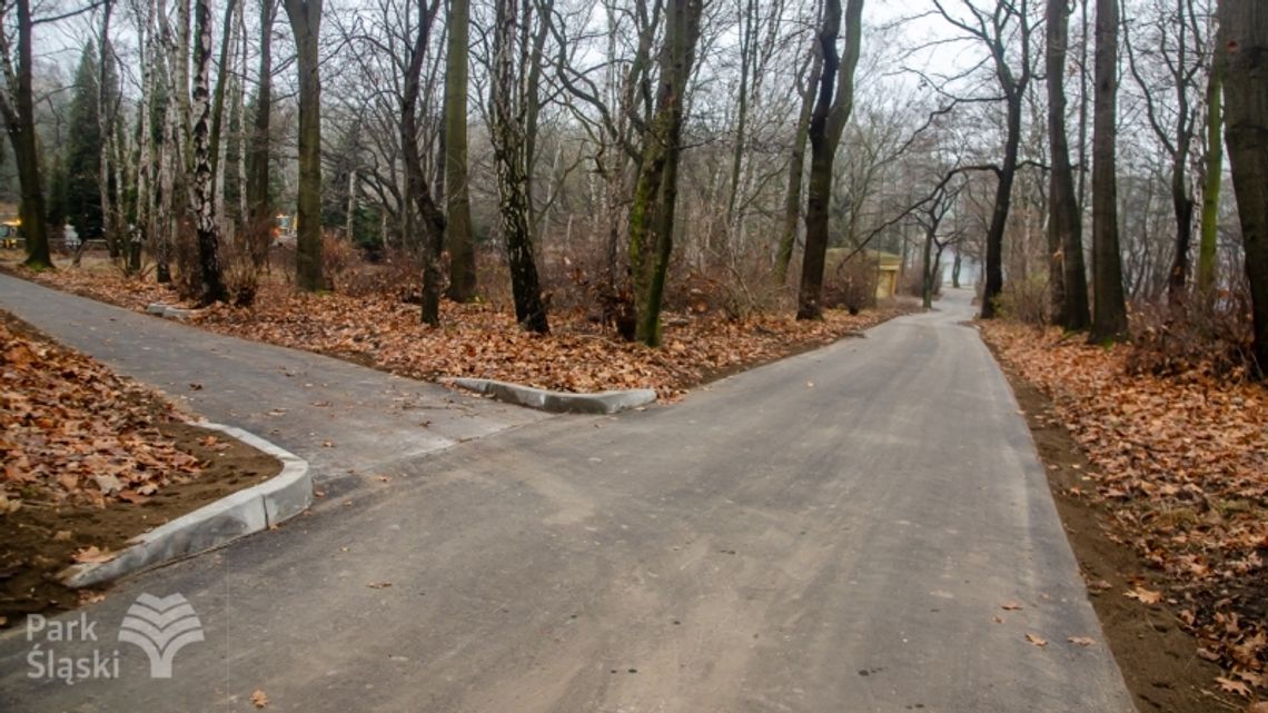 Alejki przy kręgach tanecznych czekają na spacerowiczów 