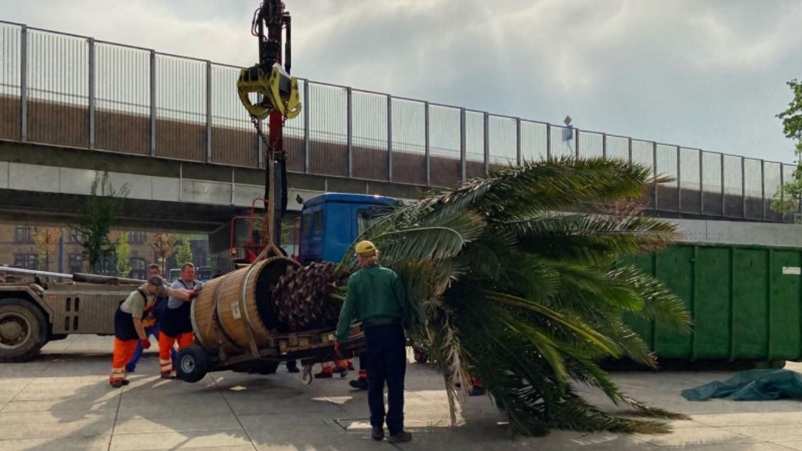 Bercik i Truda już na rynku