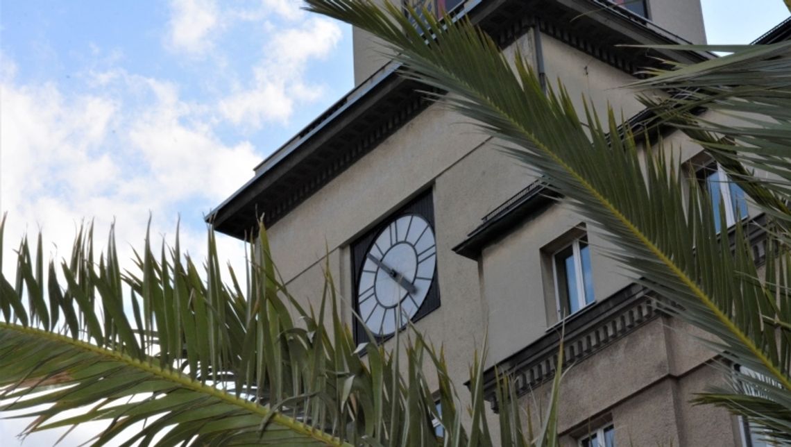 Bercik wrócił do domu Bercik wrócił do domu